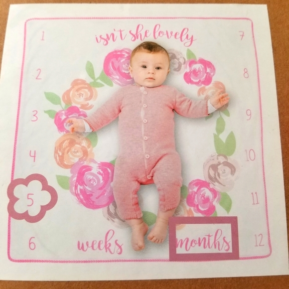 Baby Essentials Other - Baby Essentials Photo OP Milestone Blanket, Pink